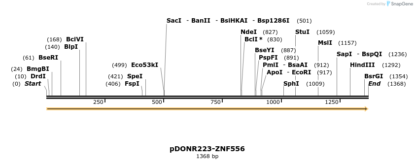 171974_map