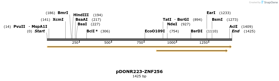 172000_map