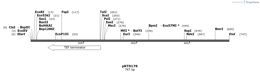 17201_map