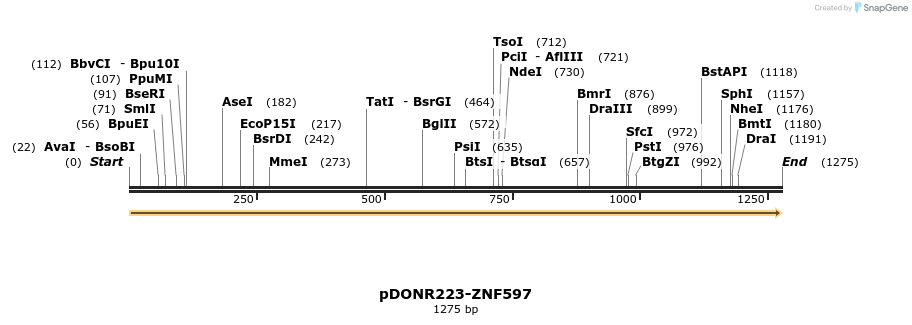 172019_map