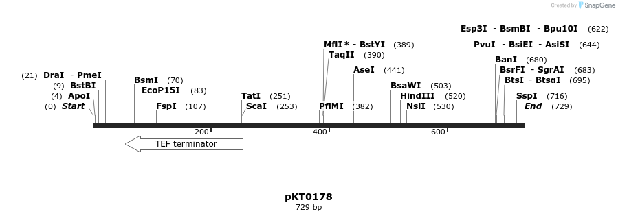 17202_map