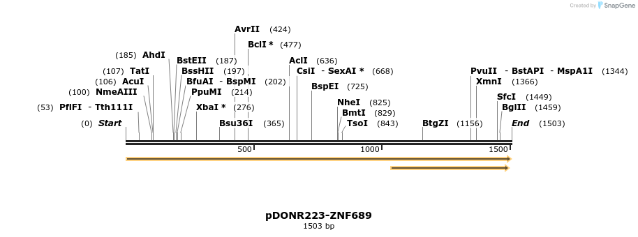 172027_map