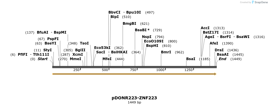172037_map