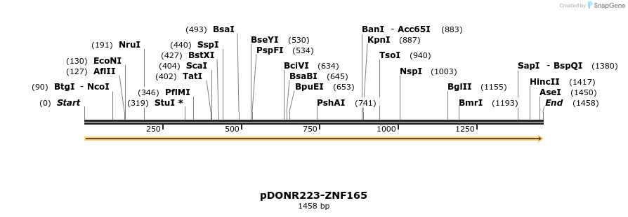 172048_map