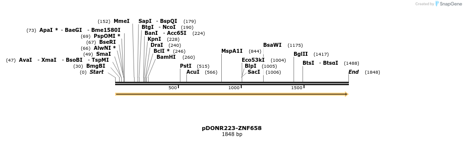 172050_map