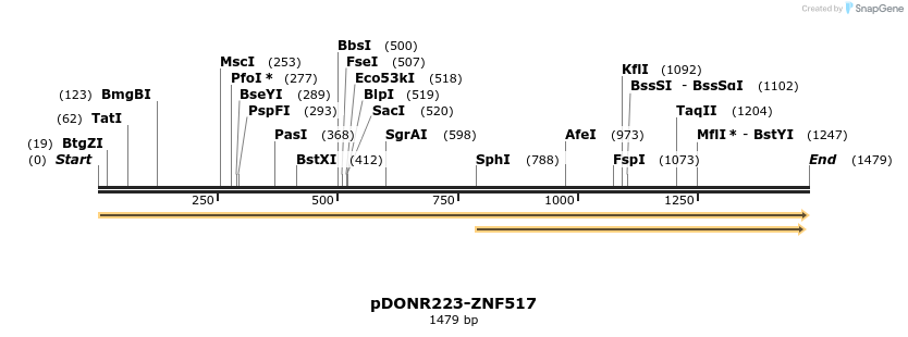 172055_map