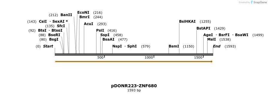 172059_map