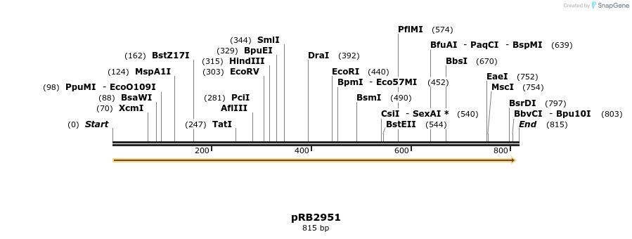 17206_map