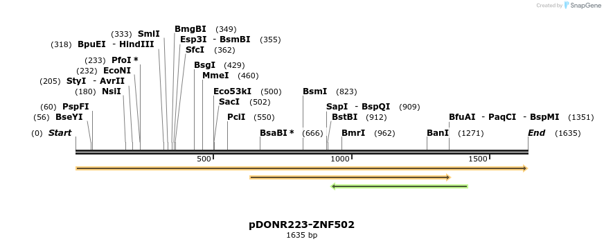 172060_map
