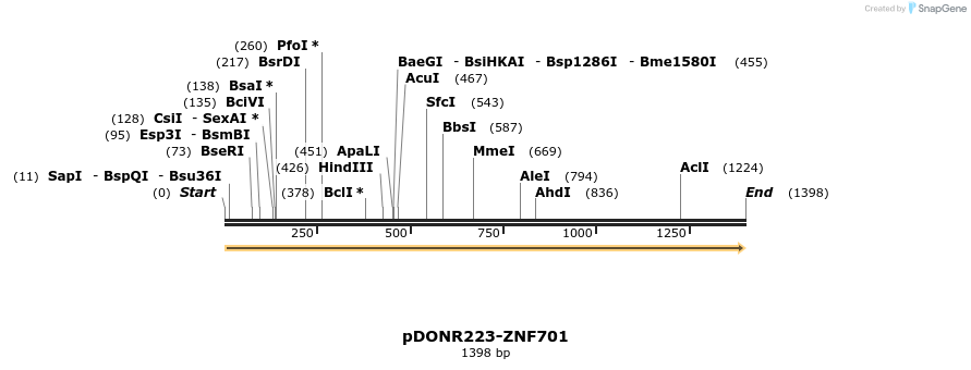 172065_map
