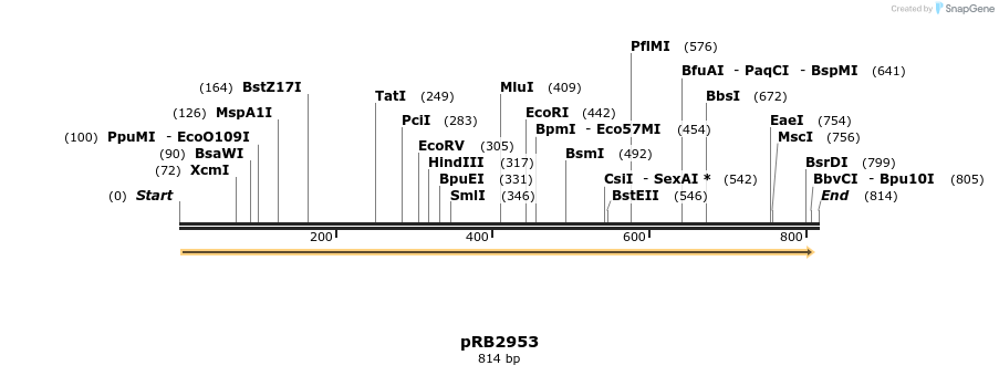 17207_map