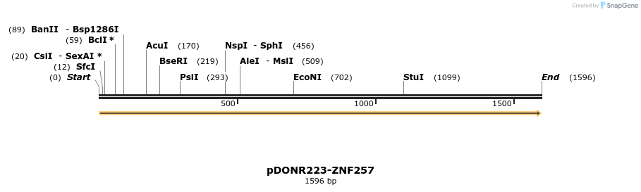 172071_map