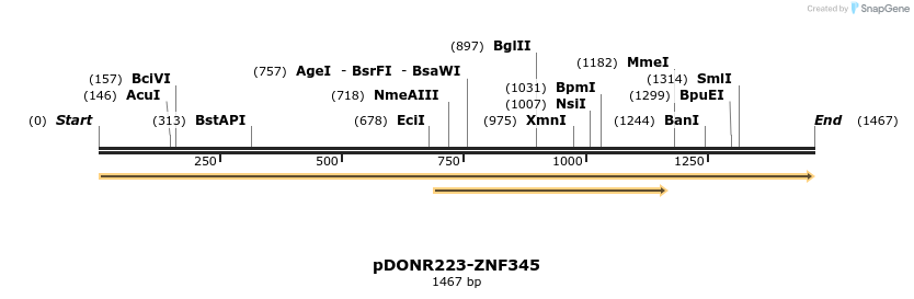 172078_map