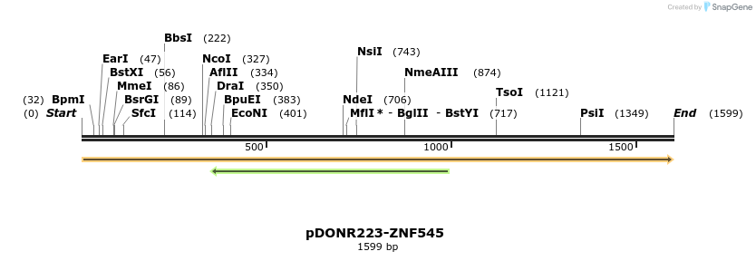 172083_map