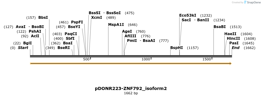 172084_map