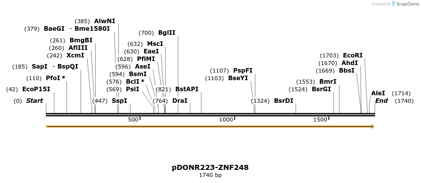172085_map