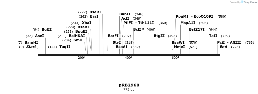 17209_map