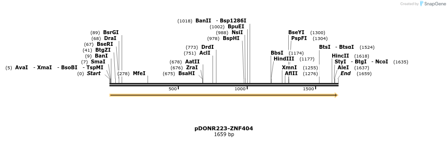 172096_map