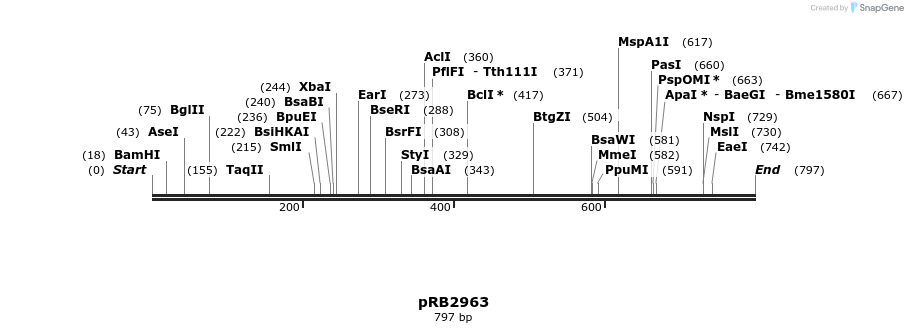 17210_map