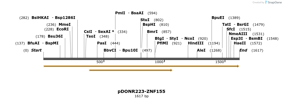 172106_map