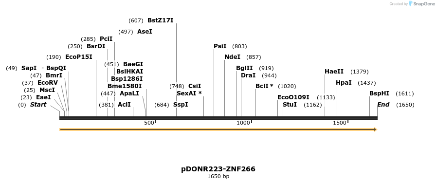 172108_map