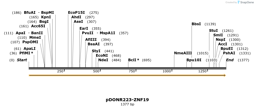 172112_map