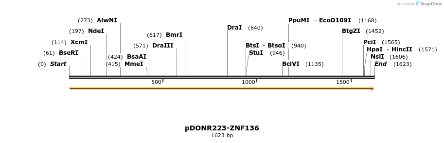 172117_map