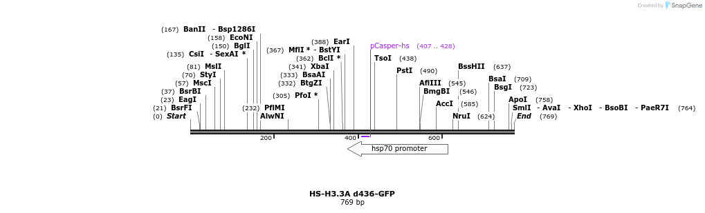 17212_map