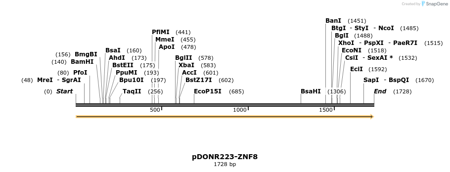172132_map