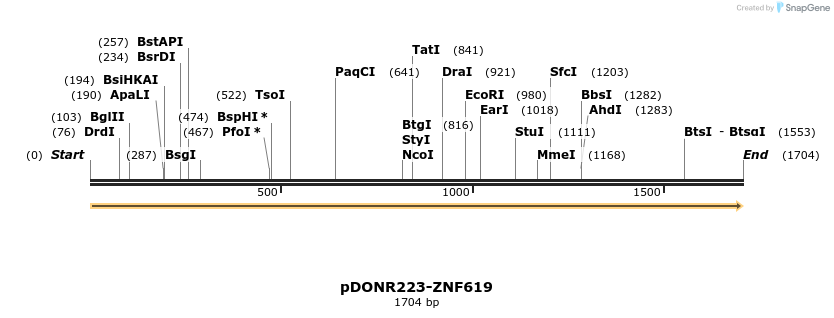 172133_map