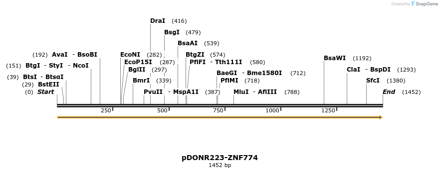 172136_map