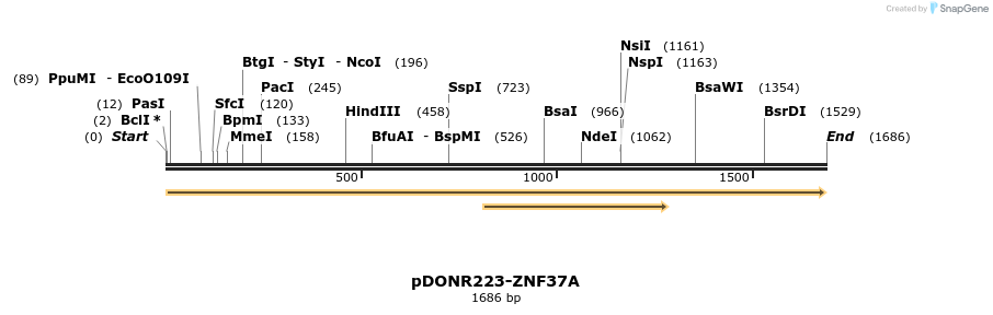 172143_map
