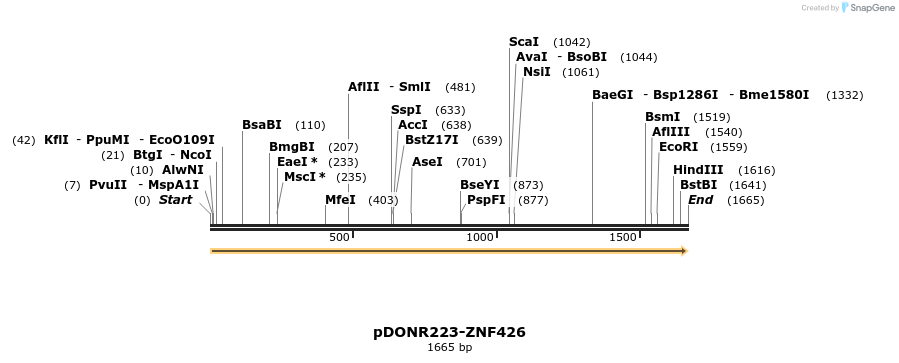 172147_map