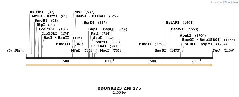 172155_map