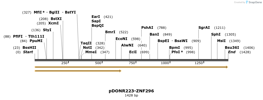 172158_map