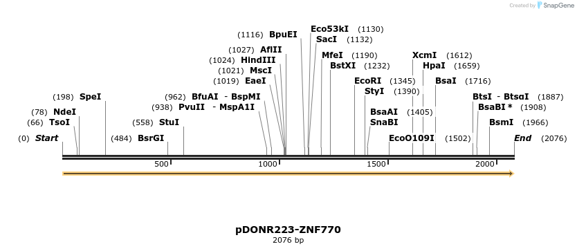172166_map