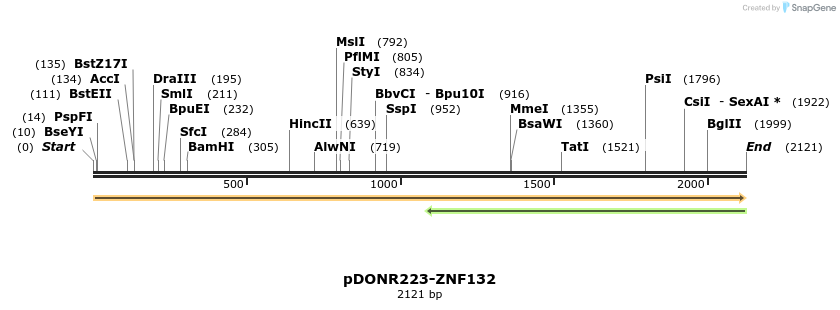 172167_map