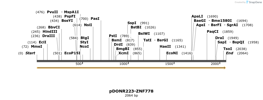 172178_map