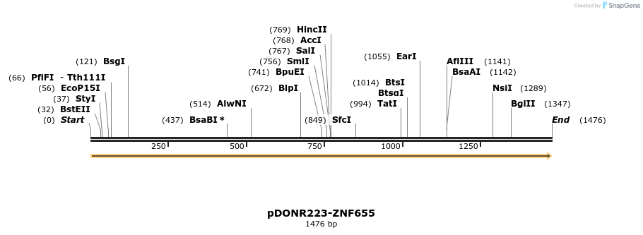 172182_map