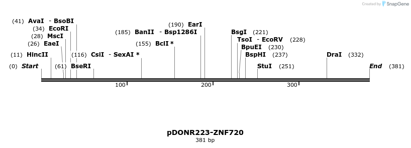 172192_map