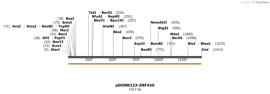 172193_map