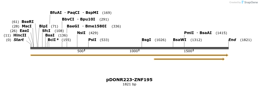 172197_map