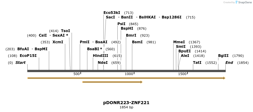 172198_map