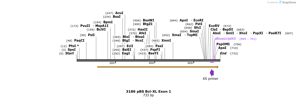 17220_map