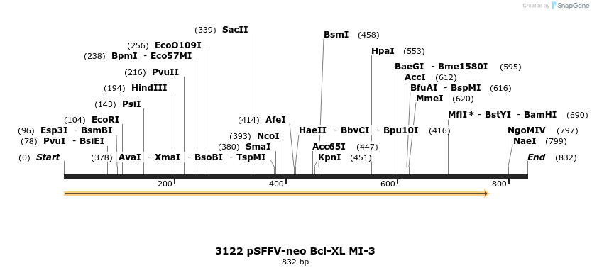 17221_map