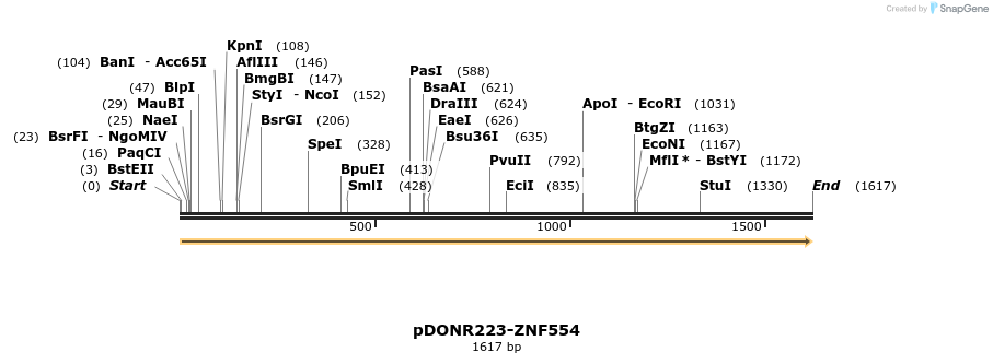 172218_map