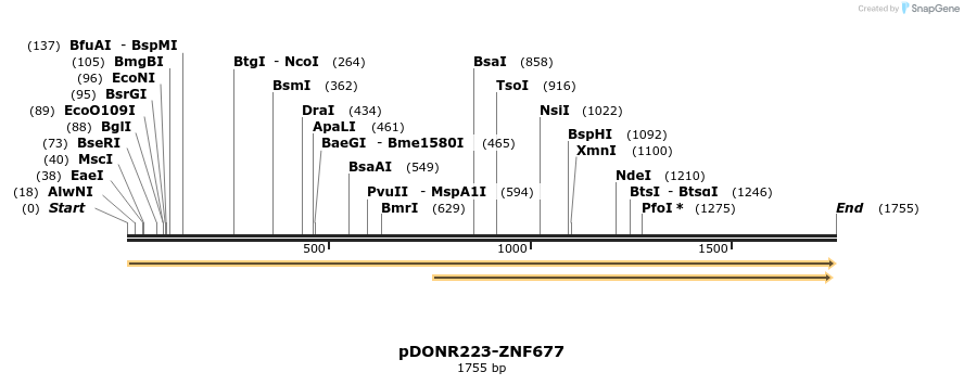 172219_map