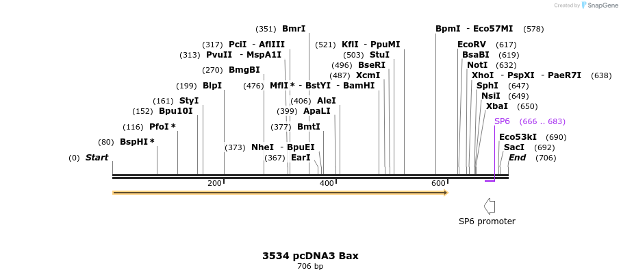 17224_map