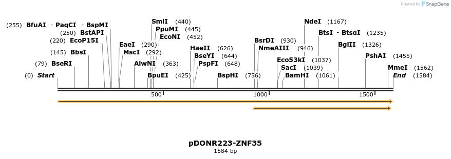 172246_map