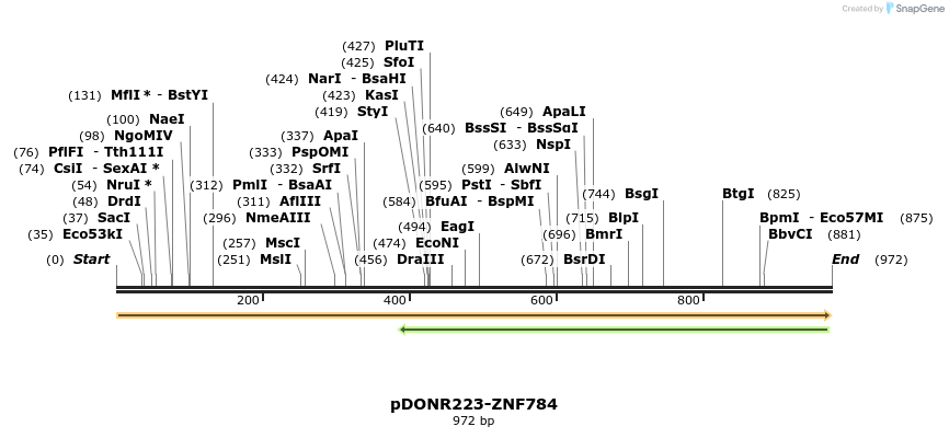172253_map
